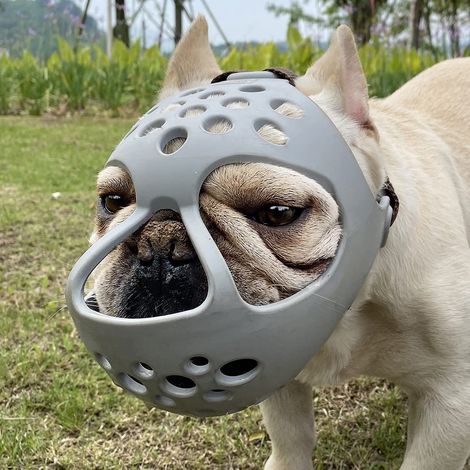 Muselière pour chiens à nez court, muselière souple en silicone à face plate, pour bouledogues français, shih tzus et carlins, à mâcher, lécher et toiletter, pantalon. (1/5)