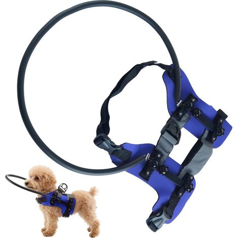 Harnais pour chien aveugle – Harnais robuste pour chien de guidage, dispositif de maintien stable, accessoire rembourré, système de contrôle réglable, soutien confortable avec de guidage sûr (1/5)