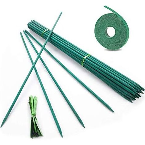 Set mit 50 Bambus-Pflanzenstützen, 45 cm, mit Metallösen für Kletterpflanzen in Haus und Garten - CM (1/5)