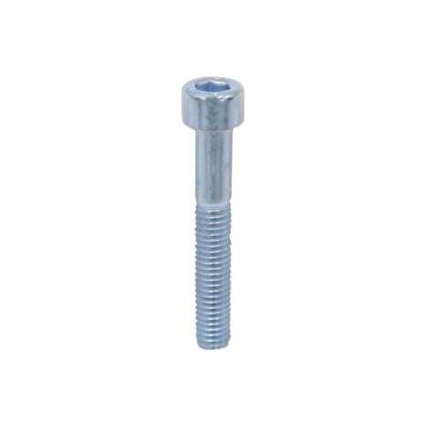 Viti Metriche Brugola Zincate Testa Cilindrica. Mm.6X20