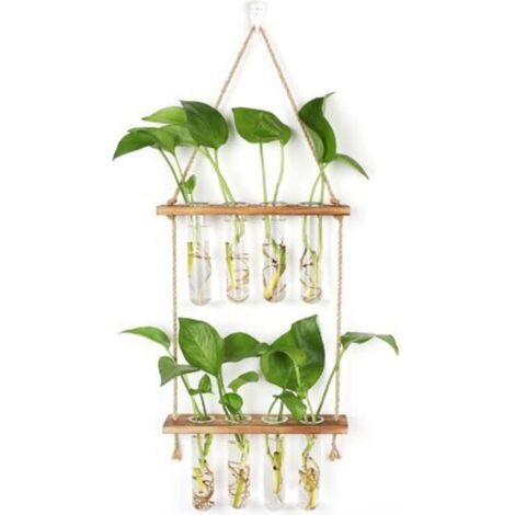 Station de Propagation avec Support en Bois Vase Mural avec 8 Tubes à Essai en Verre Suspendu pour Plantes Hydroponiques pour La Décoration de Bureau à La Maison (1/5)