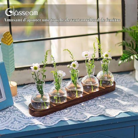 Plant Propagation Station in Terrarium, Bulb Vase (1/2)