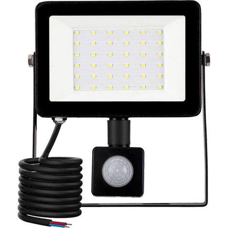 Foco LED para exteriores ZVD, 30 W, con sensor de movimiento, 6500 K, IP66, para jardín, obra, patio, garaje, césped, fiesta, etc. (1/4)
