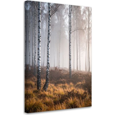 Wandbild Birkenwald im Nebel Landschaft Natur 20x30 (1/5)