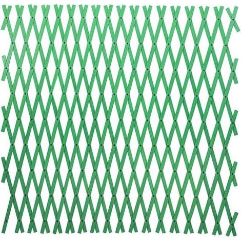 TRALICCIO ESTENSIBILE PVC VERDE 4X1 MT.PAPILLON