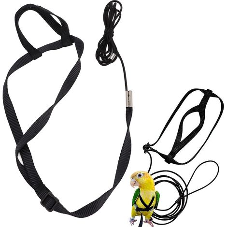 Harnais et laisse pour oiseaux, corde volante réglable pour perroquet, corde en nylon pour oiseaux (1/5)