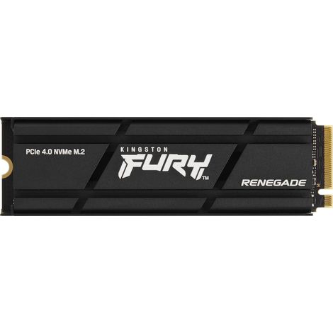 Kingston Technology 1000G RENEGADE PCIe 4.0 NVMe SSD W Radiateur de dissipation thermique