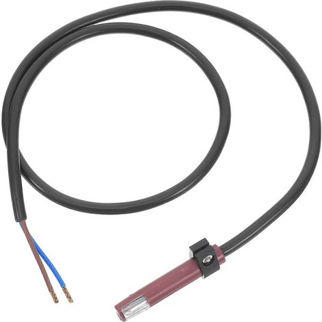 Compatible avec les modules de détection de flamme des chaudières à gaz pour un fonctionnement à haut rendement du brûleur (1/5)