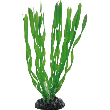 Hobby Vallisneria, 20 cm - Kunststoffpflanze für Aquarien