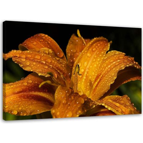 Tableau sur toile Fleur de lys Nature Plantes 90x60 (1/5)