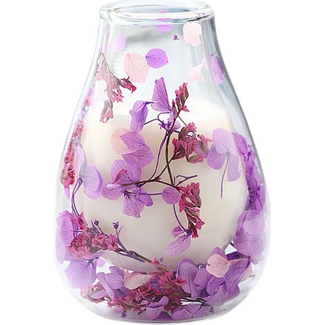 Lot Décoration Intérieur: Pichets Verre, Plantes Artificielles, Mangeoires Oiseaux et Accessoires Jardinage Design Moderne (1/5)