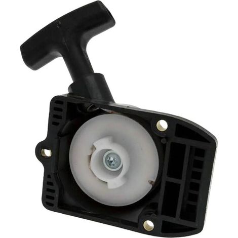 Démarreur de remplacement pour BG75 85 85 / FS75 80 (1/5)