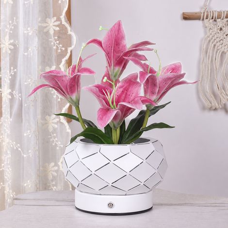 Veilleuse LED fleur de lys rose lampe tactile USB pot géométrique ajouré en fer forgé 610 g – Livraison gratuite (1/2)