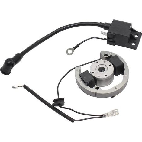 Kit de bobina de encendido, estator y rotor - 50 SX 50cc Pro (1/5)