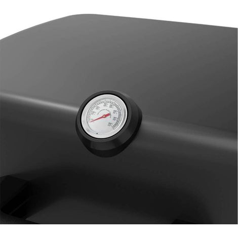 MISURATORE TEMPERATURA per barbecue 'KASART'