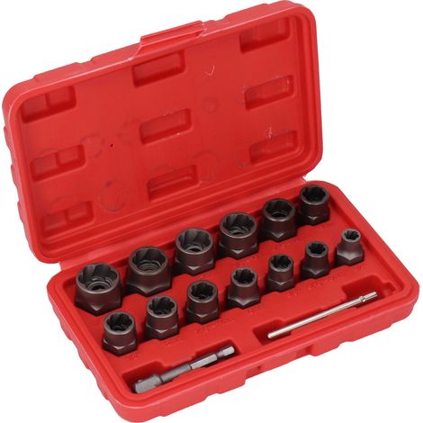 Lot de 15 pièces extracteur de boulons et écrous 1/4 à 3/4 pouce acier Cr Mo coffret douille dévisseuse pour vis abîmées rouillées avec tige d'extension (1/5)