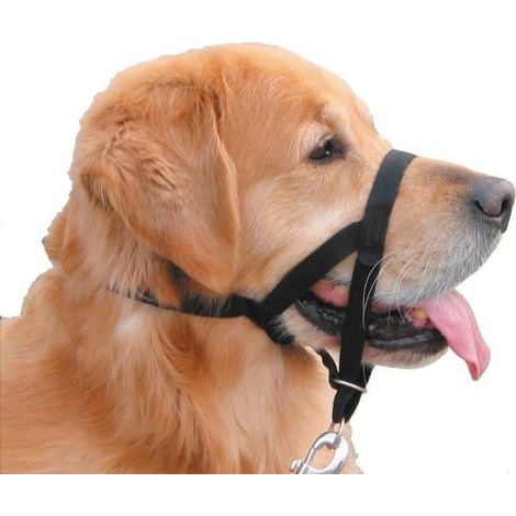 Nobby® Hunde Erziehungs- und Ausbildungshalfter Easy Leader M Schwarz Größe 2