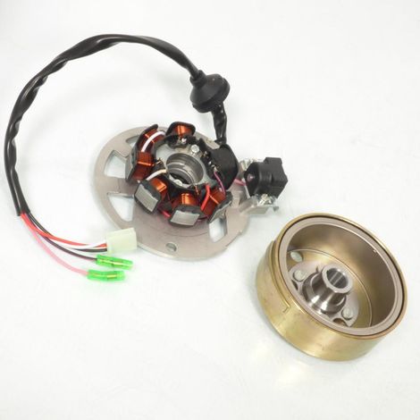 Zündung Stator Rotor TNT für Roller Aprilia 50 Area 51 vor 2003 (1/5)