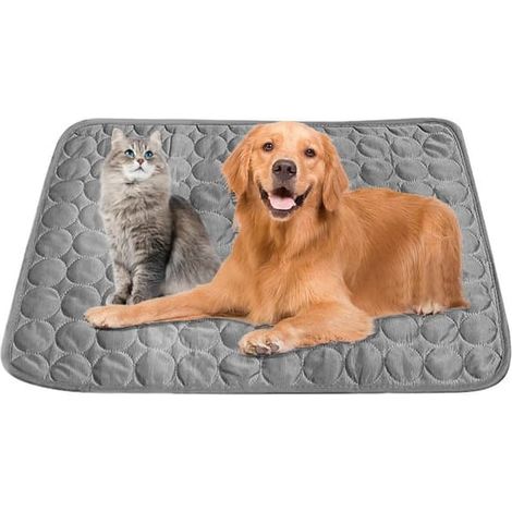 Tapis rafraîchissant pour chien et chat, tapis auto-rafraîchissant pour animaux de compagnie pour l'été, coussin rafraîchissant réutilisable qui aide à lutter contre la surchauffe et procure du confor (1/5)