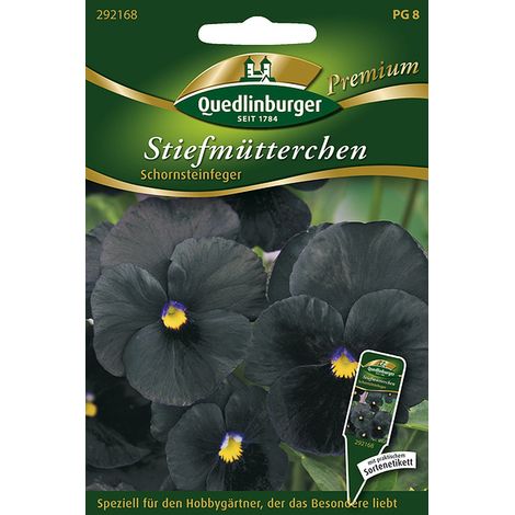 Quedlinburger Saatgut – Pensée « Schornsteinfeger » – Graines de fleurs, fleurs noires, compacte et résistante au gel, hauteur env. 20 cm
