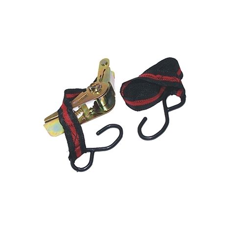 Ratschen Spanngurt mit S-Haken 5 Meter 250 kg