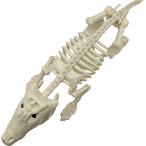 Skeleton Alligator - Articulated Jaw - Halloween Decoration Intérieure Extérieure - Figurine Animal Osseuse - 1 Pièce (1/5)