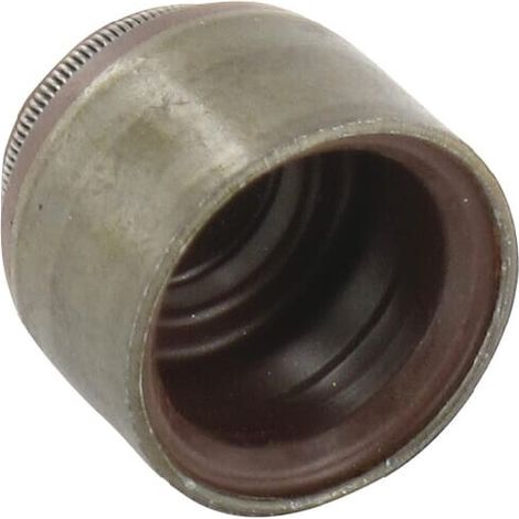 Anello di tenuta BRIGGS ET STRATTON 691963 (1/2)