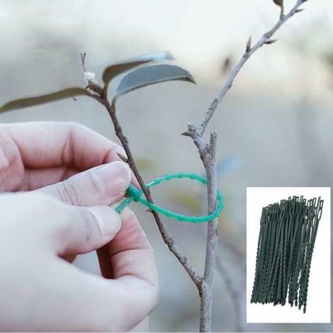 Attaches de jardinage, attaches pour arbres, serre-câbles de jardin, cordons de serrage pour bureau d'ordinateur, rack home cinéma (1/5)