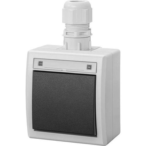 Interrupteur en saillie Aquant 2K unipolaire (à deux voies) IP65 gris 5001-65