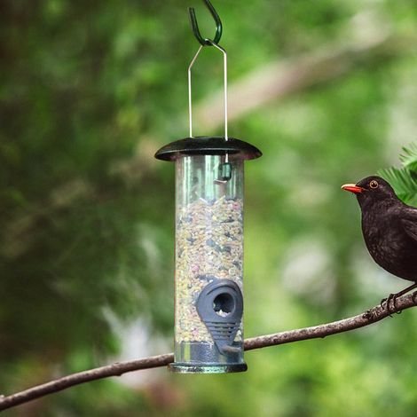 Hängender Vogelfutterspender mit Eisenabdeckung und PVC-Boden (1/3)