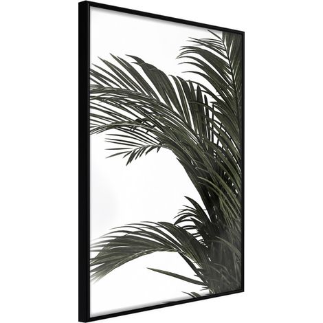 Affiche Murale Encadrée "Jungle Scent" 21 x 30 cm Noir