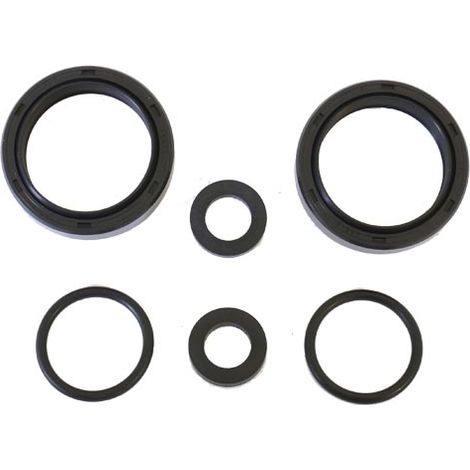 Retenes de aceite de suspensión Athena 41.3x54x13/14 2 piezas ARI089 para motocicleta (1/2)