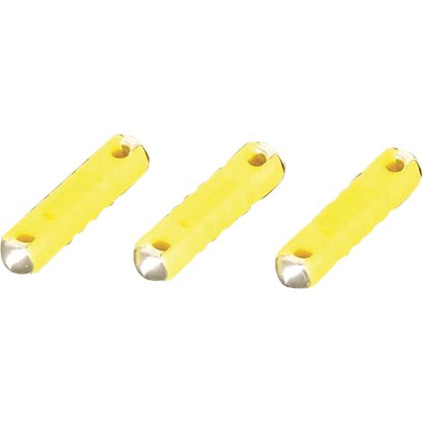 Fusibles steatite 25 x 6 mm : 16 Ampères