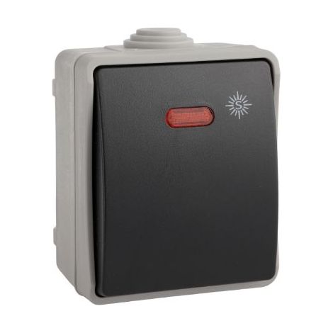 3303IL Interrupteur va et vient lumineux étanche IP54, certifié NF - SOLERA (1/4)