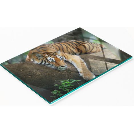Tablero de vidrio elegante y resistente con estampado de tigre en un 谩rbol, 80x52 cm.
