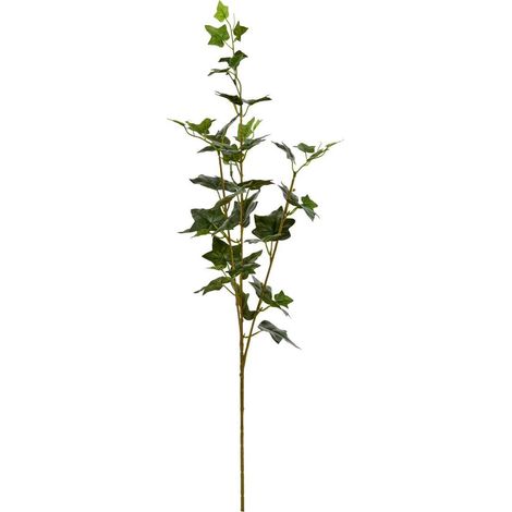 Tige Lierre Artificielle "Nelia" 80cm Vert (1/2)