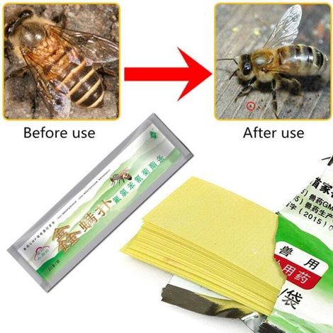 Apiculture Fluvalinate Bee Mite Varroa Killer Medicine Strip Traitement (1/5)