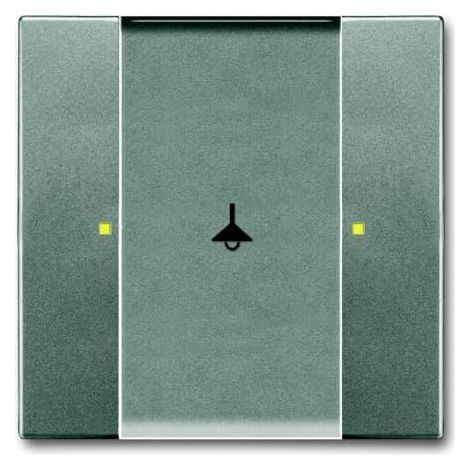 Poussoir 1 Touche Multifonctions Météor Gris Métal 2CKA006115A0224 ABB 587213