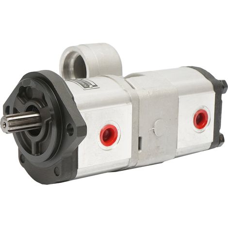 Doppia pompa idraulica, portata 18+14cm3, senso di rotazione a destra per Massey Ferguson OEM 3800195M91 (1/5)