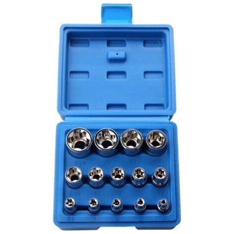 Juego de 14 piezas de vasos Torx hembra E-star E4-E24, vasos E-Torx de 6 puntas con forma de ciruela/estuche de plástico, herramienta para reparación de automóviles, vaso con forma de flor (1/5)