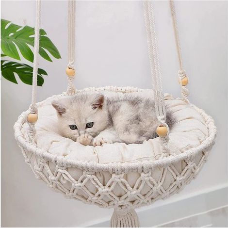 Nid suspendu pour chat, hamac mural pour animal, perchoir solaire fenêtre, lit grimpant chaton, coussin 40 cm (1/5)