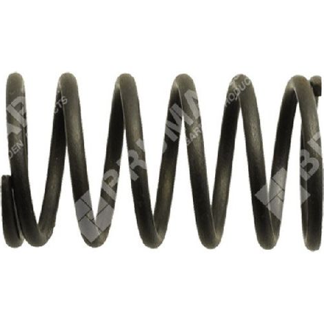 Ventilfeder für DAYE-Motoren - DAYEE - 023505