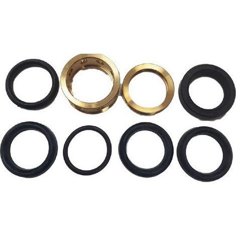 Kit Reparacion Piston Completo compatible con Tf50C  Ref 448902