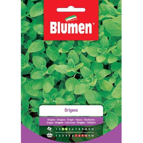 Semi Blumen semi origano