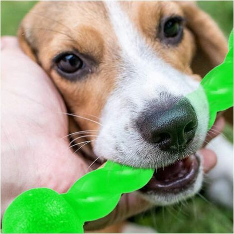 Pet Dogs Training Chew Pet Toys Jouets molaires en caoutchouc pour chiens résistants aux morsures, Happy Hour pour animaux de compagnie, （vert） (1/2)