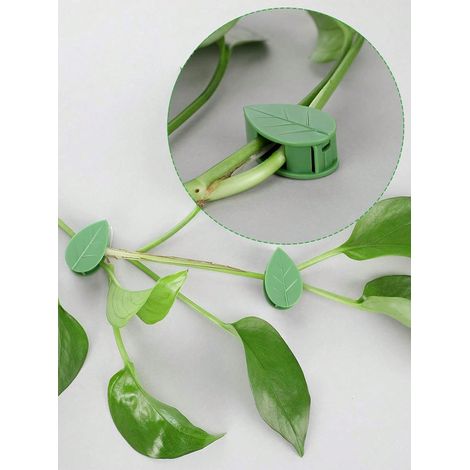 20 pièces de pinces adhésives fixes pour mur grimpant de plantes - Fixations à crochets, attaches, pinces pour vignes, pour jardin et plantes d'intérieur (1/5)
