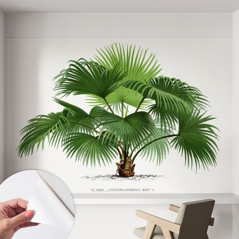 Tapete Selbstklebend - Fototapete mit Motiv - Wandtapete modern - Wandgestaltung Exotische Palme 152x104 cm