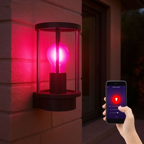 Smart Home Außenwandleuchte Edelstahl schwarz Haustürlampe Fassadenlampe CCT dimmbar, Glas rauch, 1x RGB LED 5W 470Lm warm-kaltweiß, BxH 14,3x25,2 cm