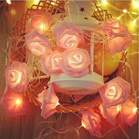 Guirlande lumineuse LED à piles pour intérieur et extérieur, idéale pour les mariages, anniversaires et fêtes printanières (2 roses roses - 3 mètres) (1/3)