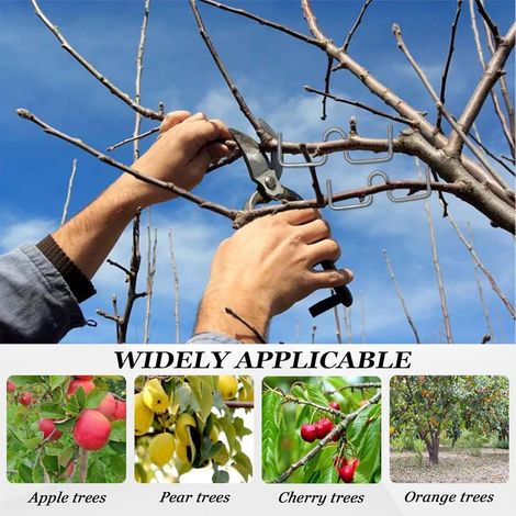 Épandeur de Branches d'arbre,Plantes Tige Formateur - Lot de 24 Supports M Forme pour Arbrisseaux, Idéal pour la Culture des Fruitiers - Disponible en 3pour Arbres Fruitiers,Arbre Branche Extracteur (1/2)